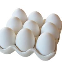 تخم مرغ بسته بندی شده
