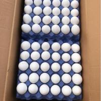 تخم مرغ کارتن کش