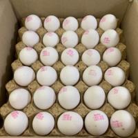 تخم مرغ کارتن کش