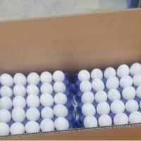 تخم مرغ کارتن کش