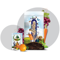 کود NPK (10-8-40)+TE